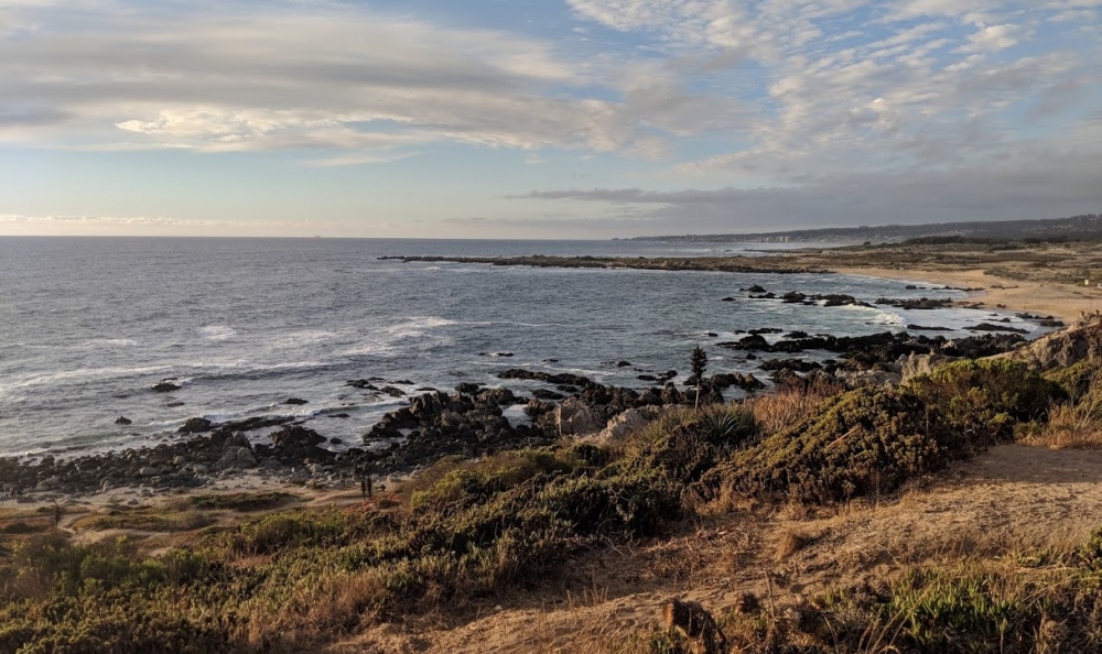 A rocky shoreline with low coastal scrub arcs into the distance under scattered clouds. 